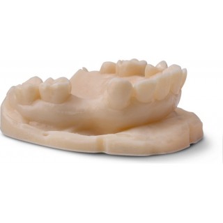 Original Phrozen Dental Resin Beige Low Irritation with Low Shrinkage